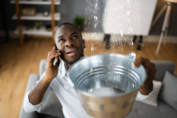 Reliable Williams, OR Water damage restoration Solutions