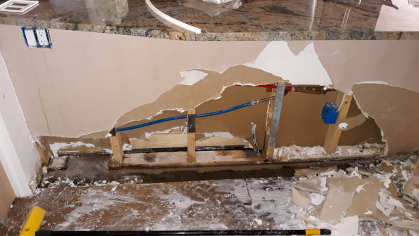 Best Flood restoration services  in Williams, OR
